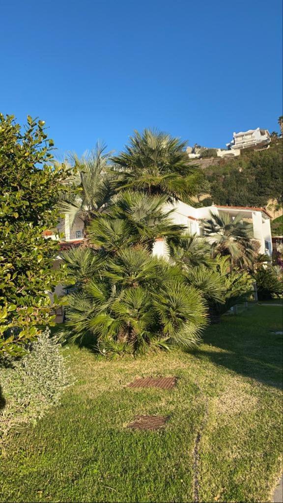 Casa Margherita Ischia Forio di Ischia エクステリア 写真